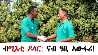 ብሚእቲ ዶላር ተበጊሱ፣ ዓቢ ኣውፋሪ ዝኾነ፣ ኣቶብርሃን መሓሪ [upl. by Nylodam]