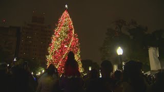 Travis Park Christmas tree going up in downtown San Antonio [upl. by Tarra]