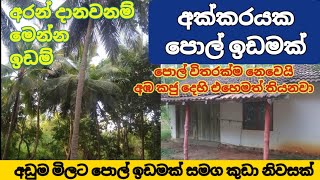 A valuable coconut land for sale in cheep pricein sri lanka  අඩුම මිලට පොල් ඉඩමක් මෙන්න [upl. by Eiltan273]