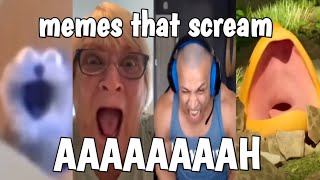 Memes That Scream AAAAAAAH [upl. by Abramo721]