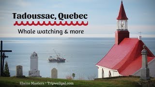 Whale watching in Tadoussac Quebec [upl. by Barbour355]