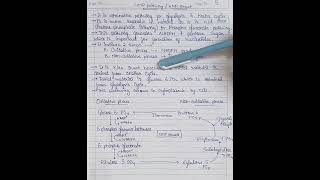 77 Hexose mono phosphate HMP Pathway  HMP shunt biology pharmacy chemistry science [upl. by Stauder]