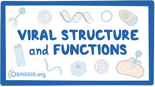 Viral Structure and Functions [upl. by Mello490]