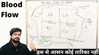 Blood Flow in Heart Blood Flow through Heart  Cardiovascular System in Hindi [upl. by Eilegna]