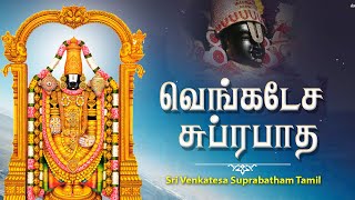 வெங்கடேச சுப்ரபாதம்  Venkatesa Suprabhatham Tamil  Tamil Devotional Songs [upl. by Sherilyn625]