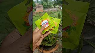 Mouldit Clay Art 🎨 diy art viral shorts [upl. by Frodi]