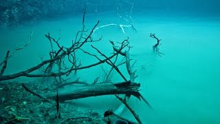 Cenote Angelita buceo [upl. by Cathi]