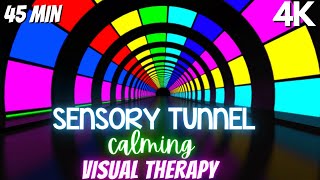 Autism Calming Music Colorful Visual Therapy Tunnel [upl. by Iveksarap654]