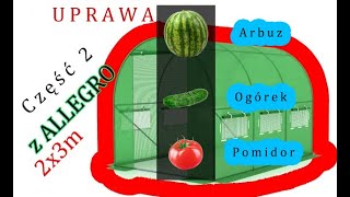 TUNEL OGRODOWY SZKLARNIA FOLIA FOLIOWY 3x2m z Allegro część 2  Uprawa [upl. by Kenna510]