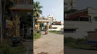 சேலம் Roadside food Street tamil roadsidestreet foodstreet [upl. by Friend795]