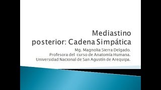 Mediastino Posterior Cadena Simpática [upl. by Glorianna898]