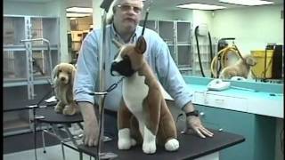 Groomers Helper Training Video [upl. by Ramey]