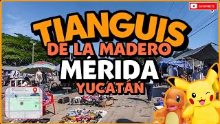 TIANGUIS DE LA MADERO ZONA PONIENTE DE MÉRIDA YUCATÁN  VAMOS A BUSCAR LA CHACHARITA [upl. by Ojytteb]