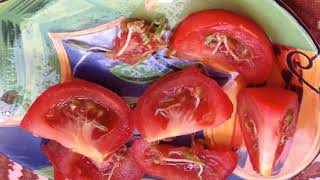 GMO TOMATOES AUSTRALIA SELF SPOUTING INSIDE GERMINATION VIVIPARY ПОМИДОРЫ ПРОРОСЛИ ГМО АВСТРАЛИЯ [upl. by Goodrow]