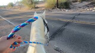 Sonoran Desert Ride 3  A Short Gas Line Trip [upl. by Shanon]