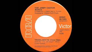 1972 HITS ARCHIVE Troglodyte Cave Man  The Jimmy Castor Bunch a 2 recordmono 45 [upl. by Vinnie]