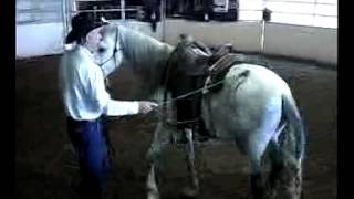 Dennis Reis Universal Horsemanship TV 7813  391 [upl. by Rozalie]