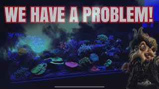 180 Gallon Reef Aquarium  Tank Crashing [upl. by Tija]