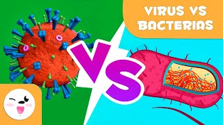 Virus vs bacterias  ¿Cuáles son sus diferencias [upl. by Eilah]