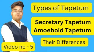 Types of Tapetum  Secretary TapetumAmoeboid Tapetum mirzafaizanbeg [upl. by Naz]