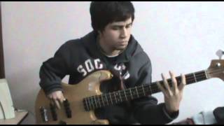 NonpalidecePara donde corres cover bajo [upl. by Annodal771]