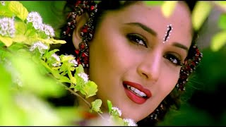 Dekha Hai Pehli Baar  4K Video Song  Salman Khan Madhuri Dixit  Saajan  90s Best Romantic Song [upl. by Forcier]