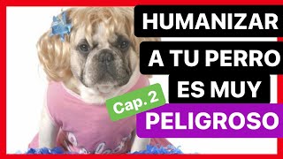 ¿Es MALO HUMANIZAR a los PERROS ⛔️ ► NO los TRATES como PERSONAS 😰 2ª Parte [upl. by Ludvig]