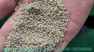 Black millet processing equipment millet peeling polishing [upl. by Booker]