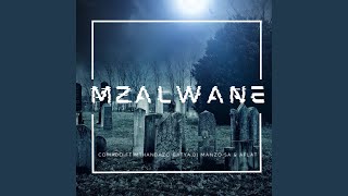 Mzalwane Instrumental [upl. by Noyek]