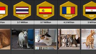 Cats Population by Country 2023 [upl. by Eigram]