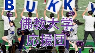 佛教大応援団チア・ブラスバンド 全日本大学野球選手権2024 [upl. by Eillek]