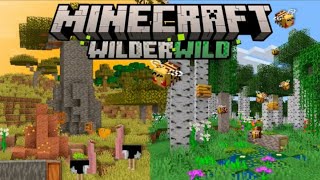 Minecraft 122  WILDER WILD amp SAVANNAH UPDATE Trailer Concept [upl. by Ileyan]