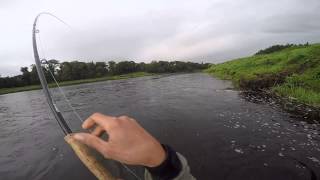 How to catch a Sea Trout on the River Tweed [upl. by Aremus]