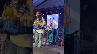 Thomas Mapfumo Nyoka Musango cover [upl. by Essyla]