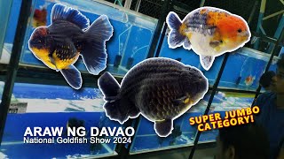 Araw ng Davao National Goldfish Show 2024 [upl. by Whitney]