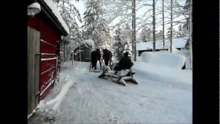 snöplogning med nordsvenska hästar [upl. by Siro325]