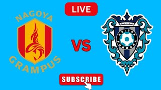 Nagoya Grampus Vs Avispa Fukuoka  名古屋グランパス対アビスパ福岡 ライブスコア [upl. by Skipton40]