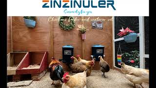 ZINZINULER Automatic Port Chicken Feeder and Cup Waterer Set [upl. by Silvana932]