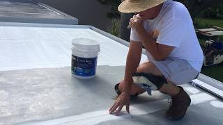 Save thousands  Seal your patio roof yourself 11 of 13 [upl. by Thera]