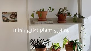 MINIMALIST PLANT STYLING 101  how to decorate a small bedroom with plants minimalist aesthetic [upl. by Asiral]