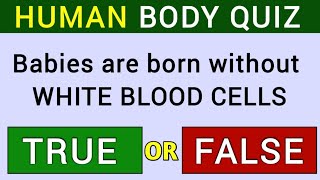 ONLY GRADE “Aquot PERSONS CAN ANSWER THESE QUESTIONS  Human Anatomy 22 [upl. by Whittemore595]