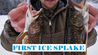 First Ice Trout Fishing  Ontario Splake Fishing 20212022 [upl. by Acinnad]