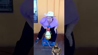 Best Fail Compilation 56 😂 Try not to laugh [upl. by Cl629]