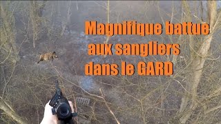 Magnifique Battue aux sangliers dans le GARD HD [upl. by Siffre138]