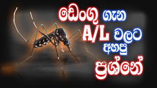 AL පොදු පරීක්ෂණ විවරණය 02  AL Examination and AL common general test [upl. by Eylsel]