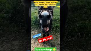 Try Not to Laugh Challenge 02 🤣funny shorts viral [upl. by Hsirrap]