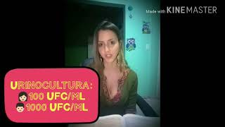 Infecção Urinária  Bacteriúria Assintomática Cistite Pielonefrite e Prostatite [upl. by Novyaj]