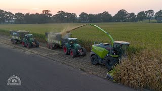 Mais hakselen 2024  Loonbedrijf Kuunders  Claas 980 50 Years Edition amp 3x Fendt x Kaweco [upl. by Oht]