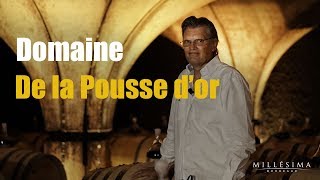 DOMAINE DE LA POUSSE DOR  BOURGOGNE  MILLESIMA [upl. by Sande]