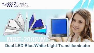 Major Science Dual LED BlueWhite Light Transilluminator MBE200BW [upl. by Gisella]